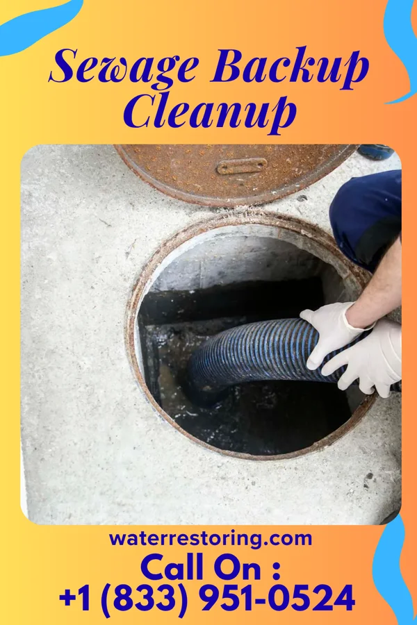 Sewage Backup Cleanup in Racine, WI