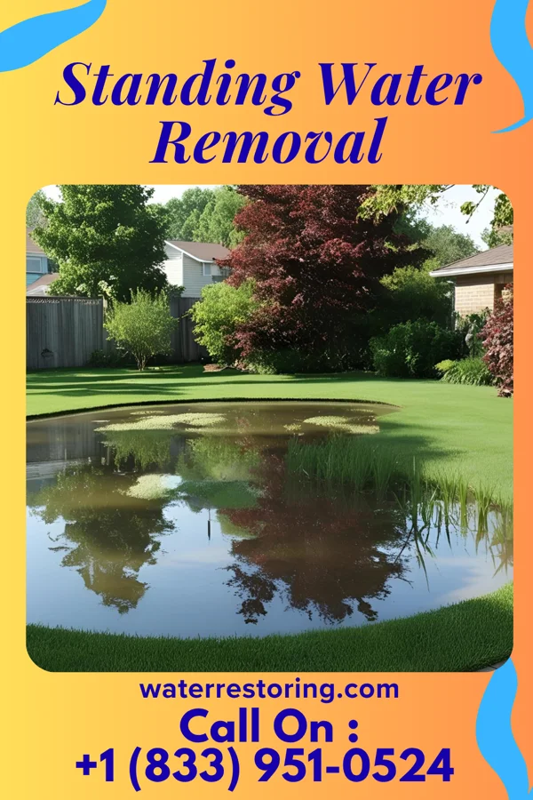 Standing Water Removal in Racine, WI